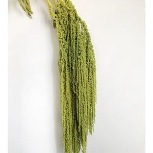 Artificial Green Hanging Amaranthus